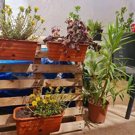 De Ensueno Y Relax Parking Gratuito Apartamento Granada